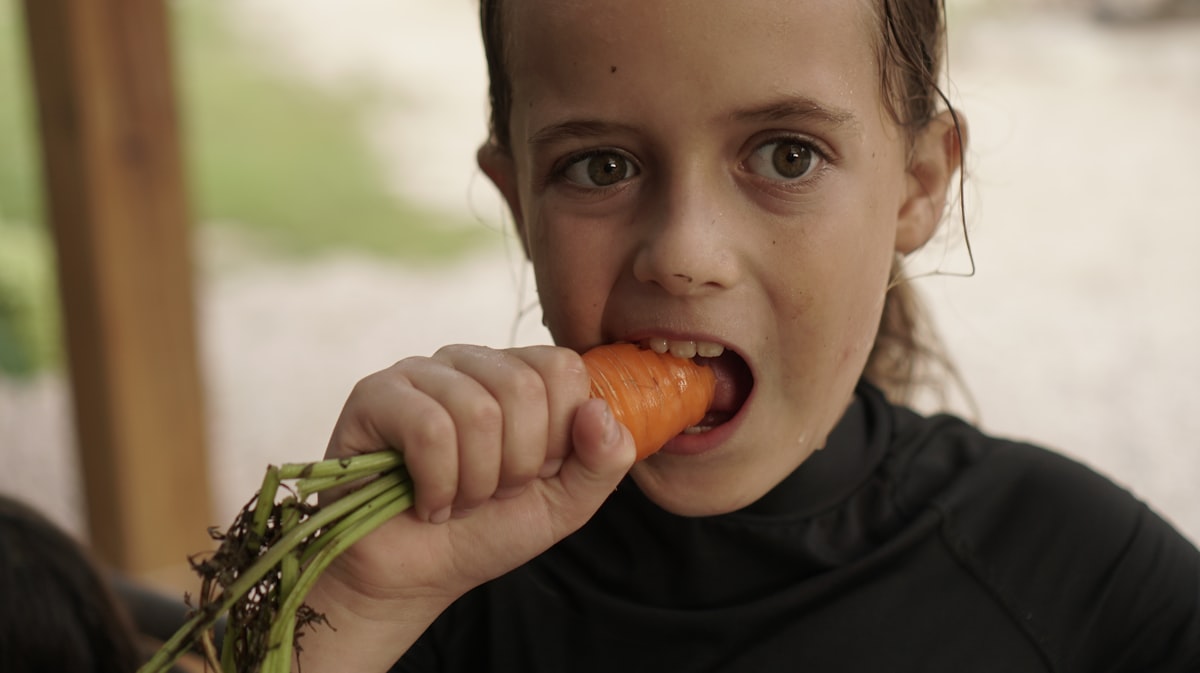 Children eating healthy meals together